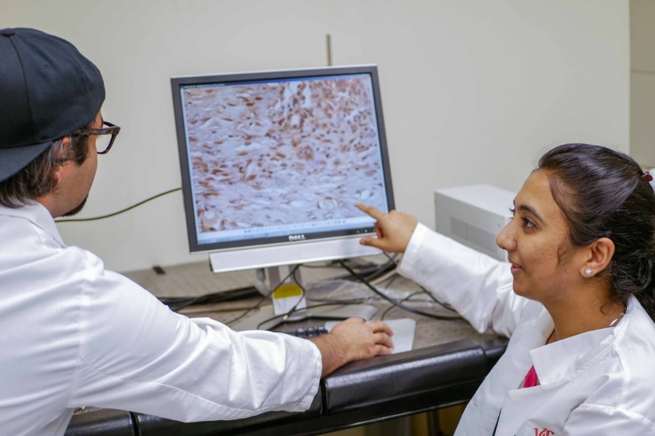 two students working in lab