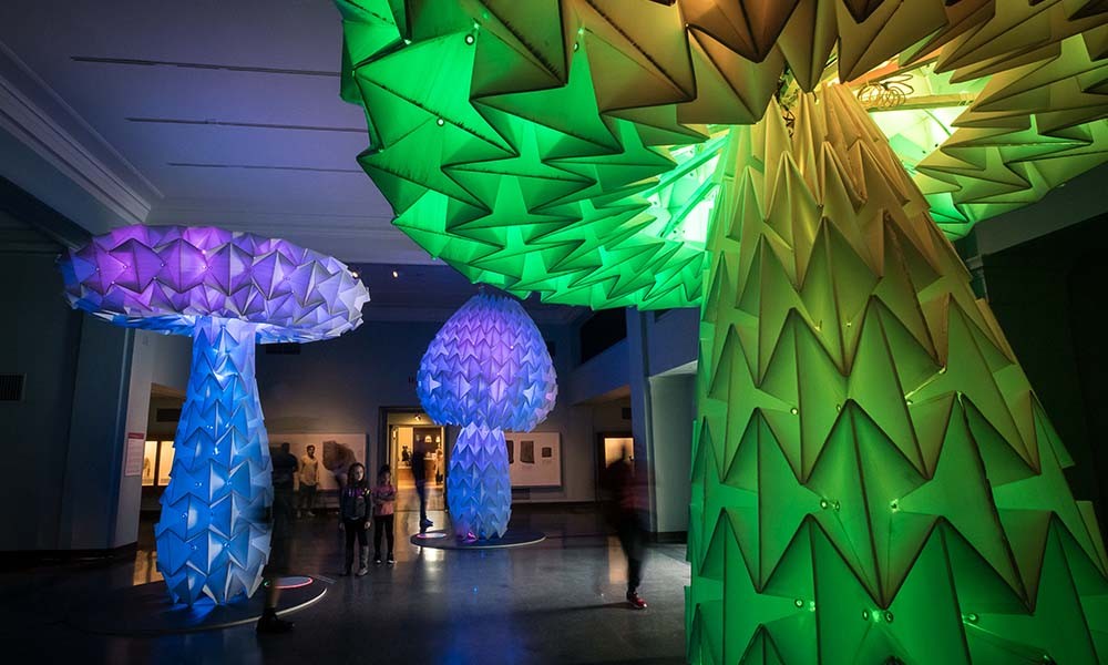 Giant, colorful light-up mushroom art installation