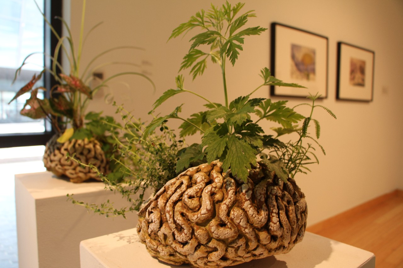 Ceramic with plant, Brainforest, Sharon Bladholm, 2018.
