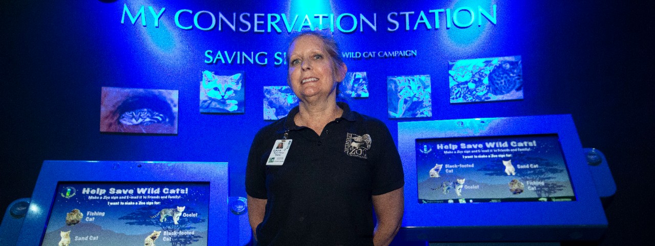 UC biology alum Laura Carpenter shown here at fishing cats exhibit at Cincinnati Zoo. UC/Joseph Fuqua II