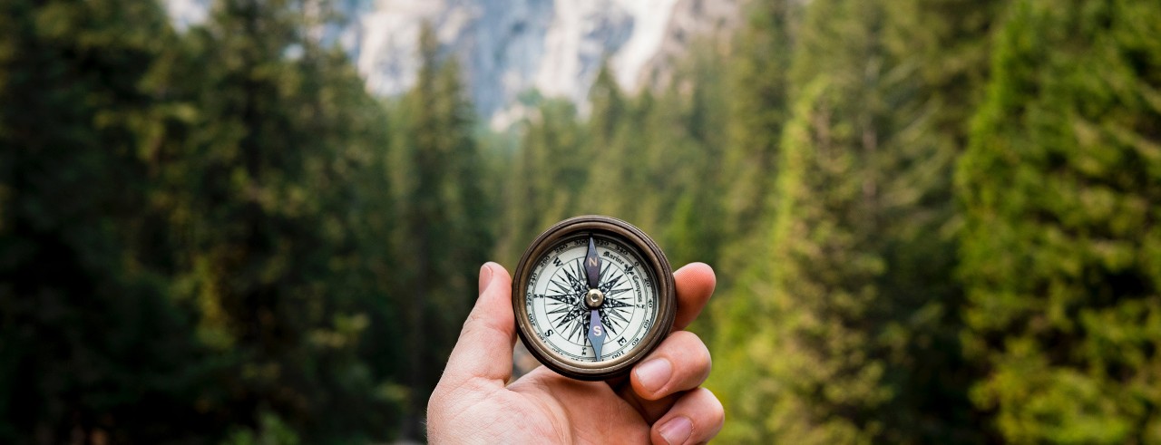 A first-person view of a hand holding a compass in the forest.