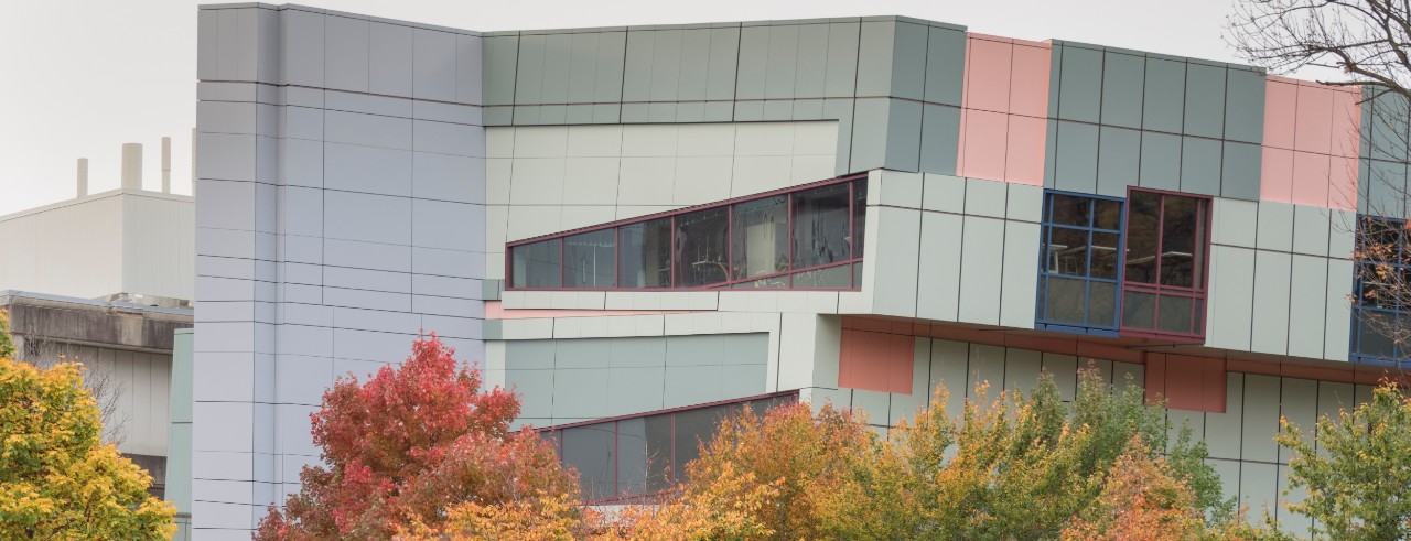 DAAP building features unusual angled architecture and pastel colors, among changing fall leaves