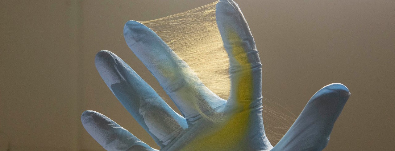 A spiderweb of fibers covers a gloved hand.