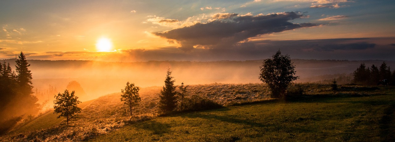 sunset in wilderness