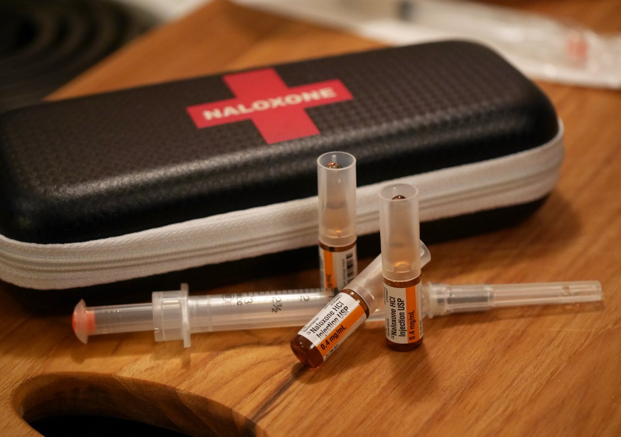 Naloxone kit with needles and nasal spray
