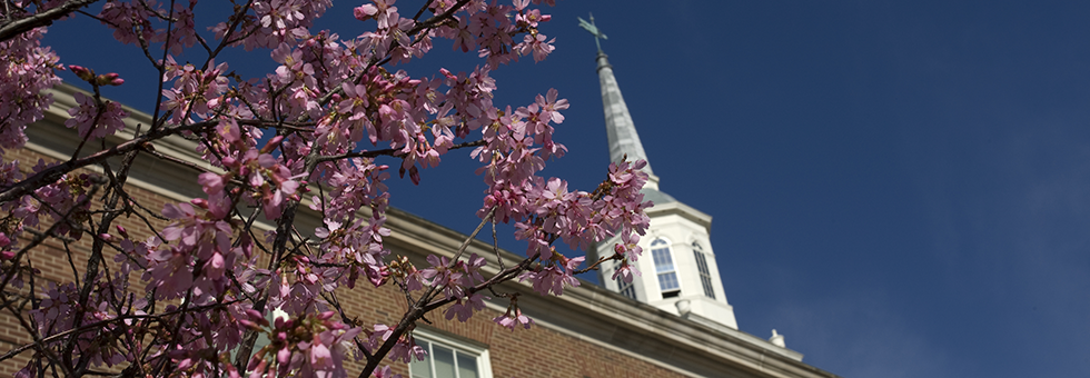 McMicken with spring flowers