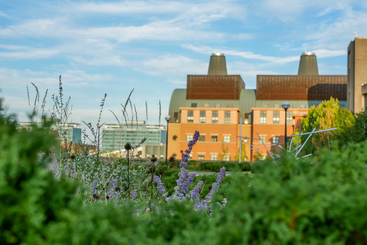 a view of the Engineering Research Center from a distance against a cloudy blue sky, with grass and flowers in the foreground