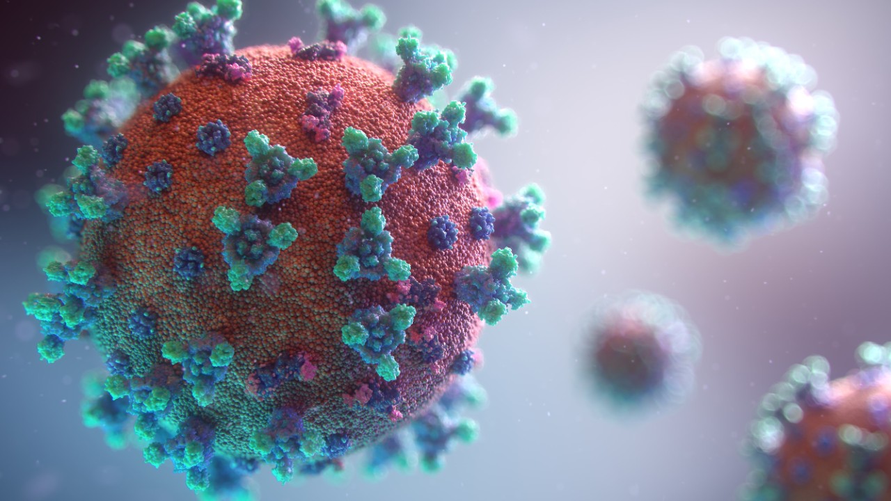 an image of a coronavirus cell