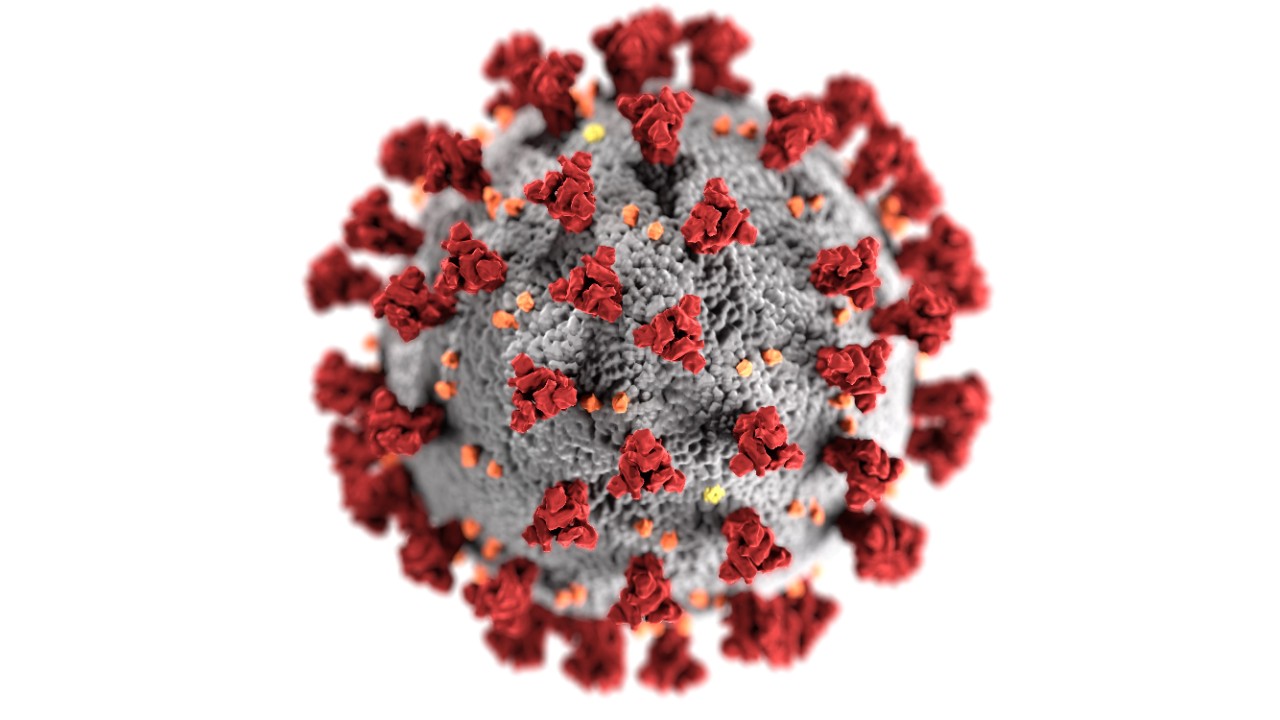 a microscopic image of a coronavirus cell