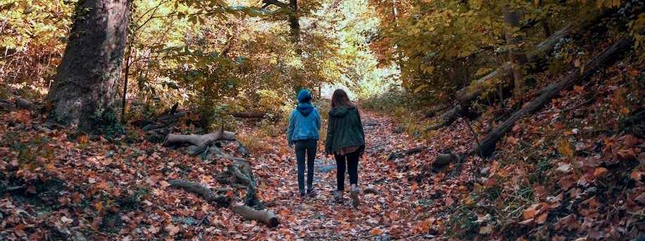 Two women walk away from the camera along a trail through a wooded leaf-filled forest in the fall.