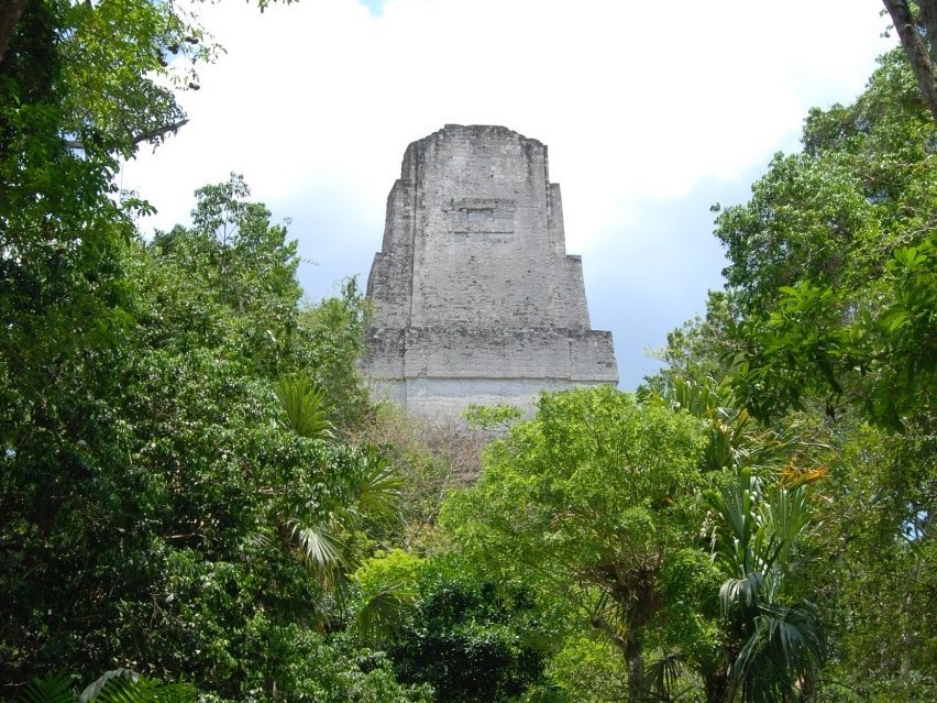 A temple at Tikal rises above the rainforest.