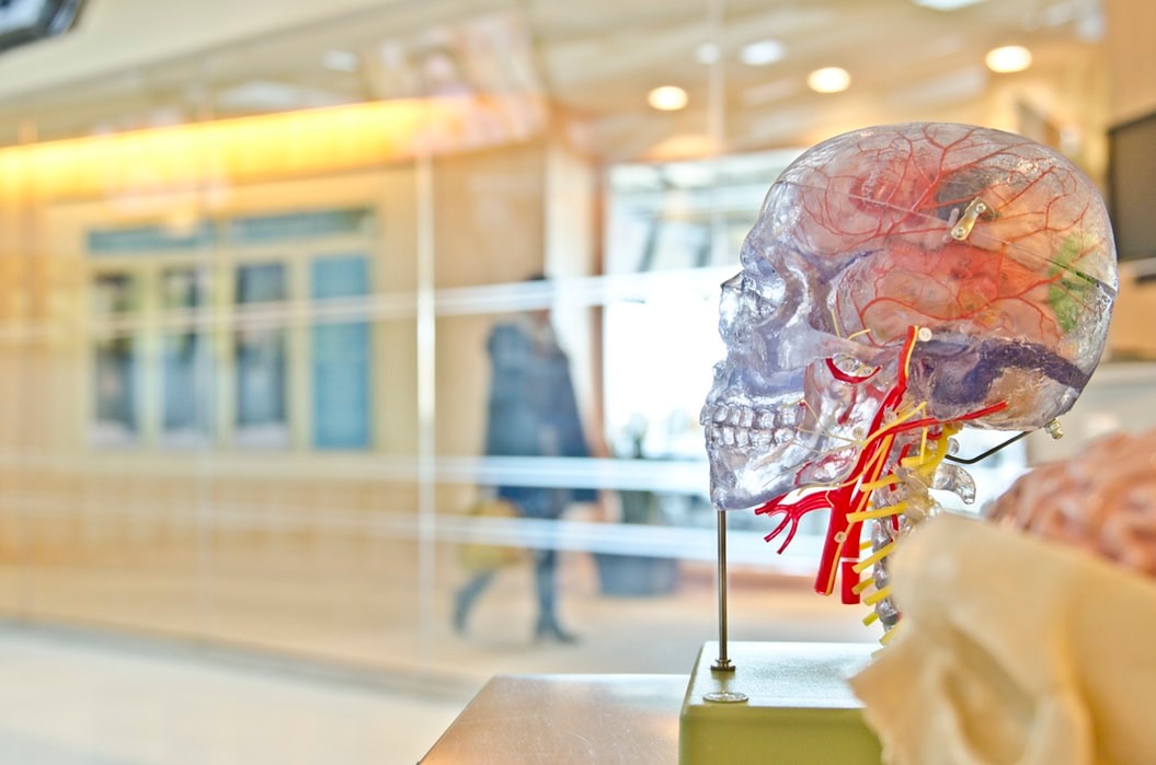 image of a colorful brain