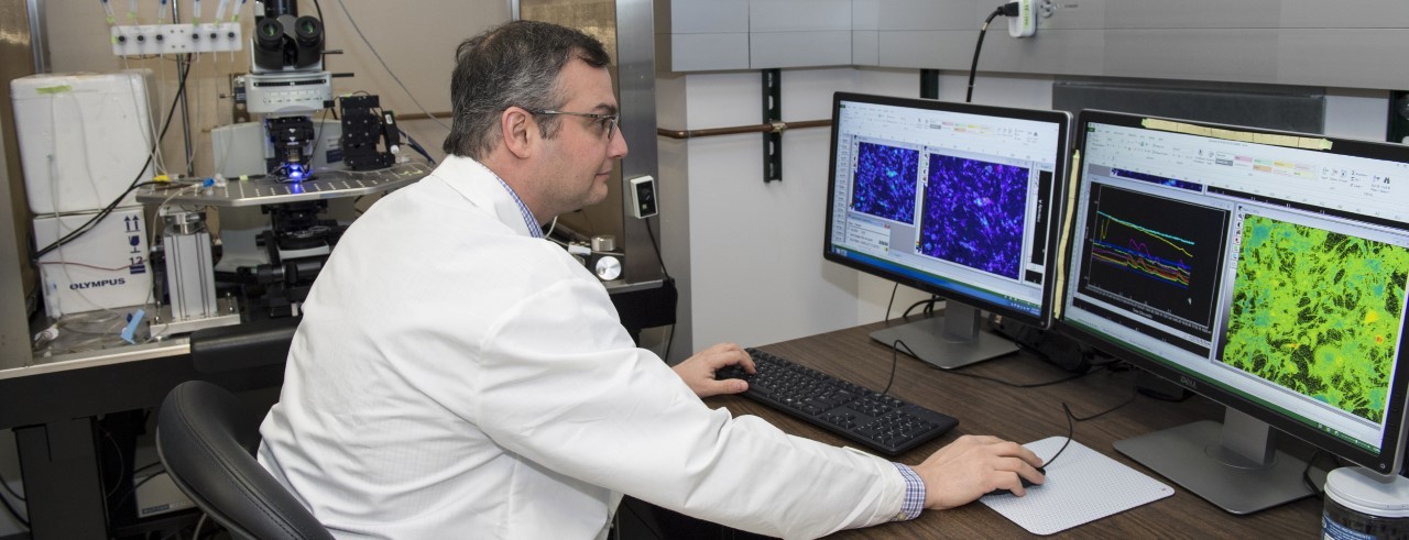 Steve Davidson, PhD, working on a computer in his lab.