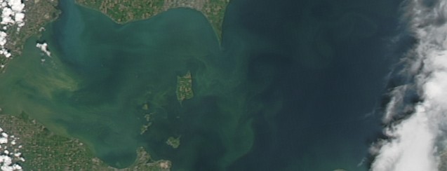 Algal bloom on Lake Erie