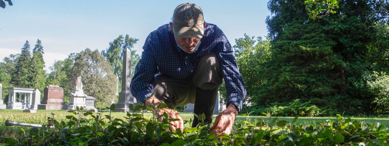 Denis Conover kneels over a grave to examine green plants. 