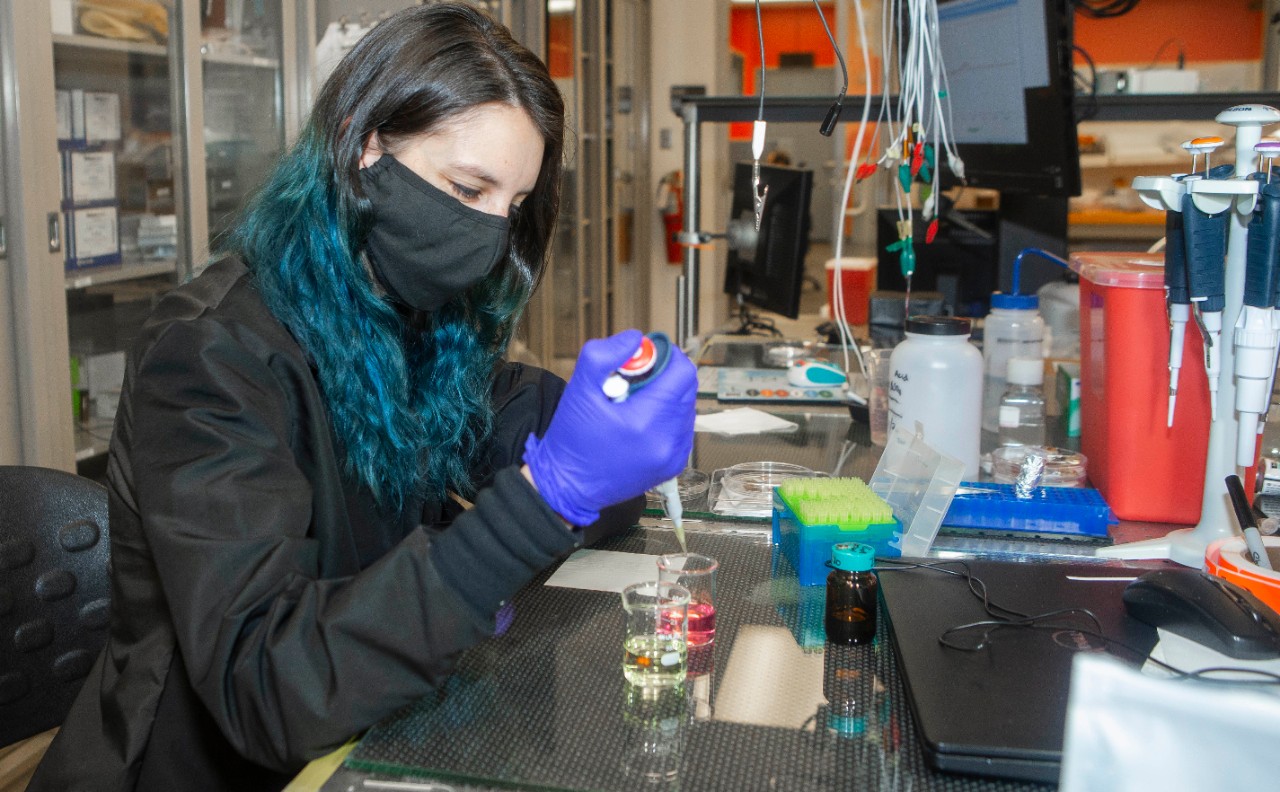 Amy Drexelius works in a labcoat, mask and gloves in a lab.