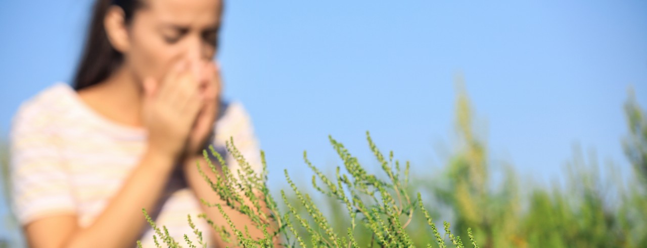 women sneezing in a field of allergens. 