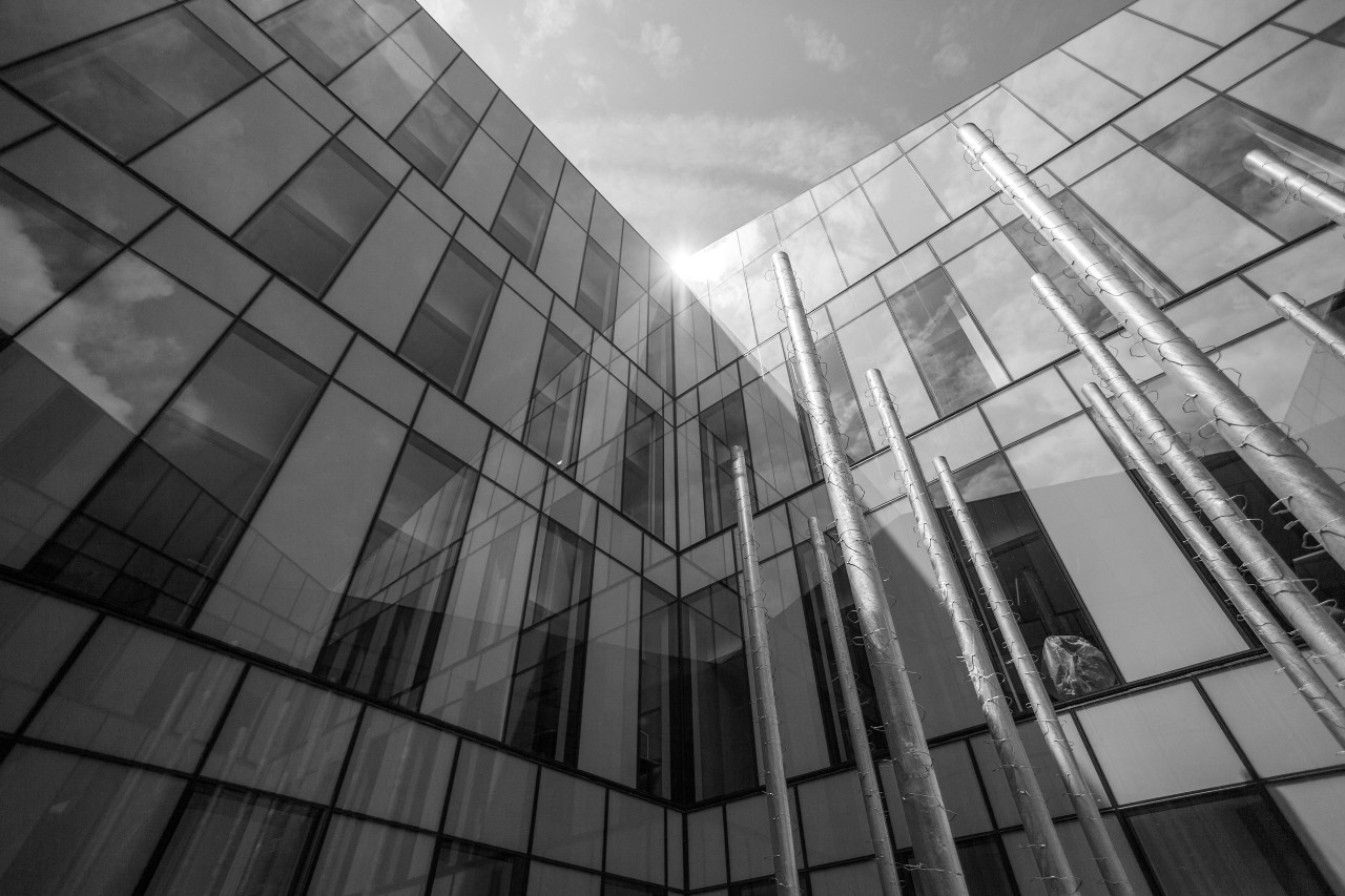 black and white photo of Lindner Hall Garden looking upwards towards sun