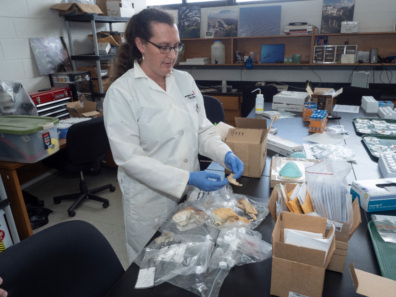 Brooke Crowley in a labcoat and gloves studies bones in her geology lab.