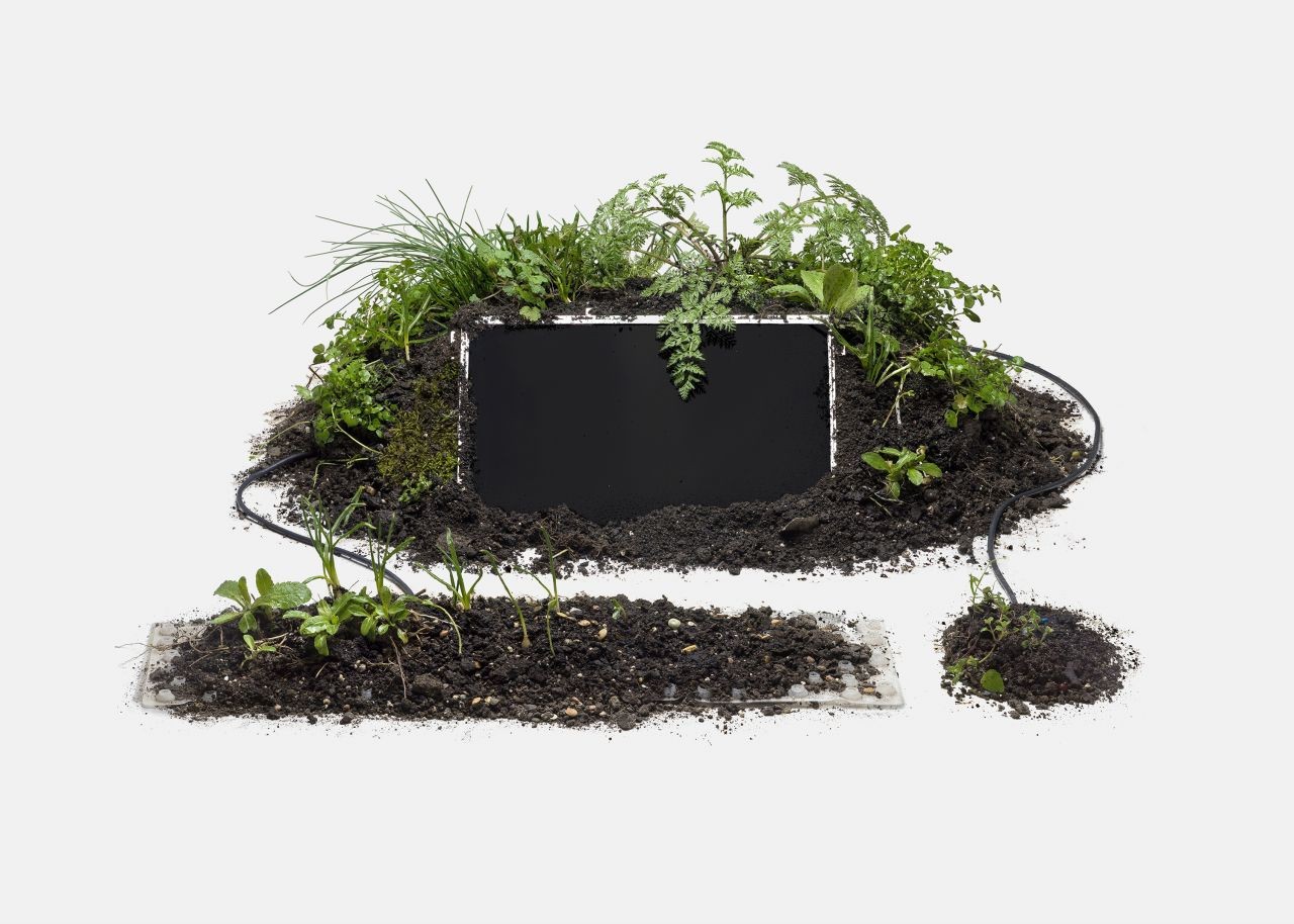 Computer, mouse and keyboard made of plants and dirt