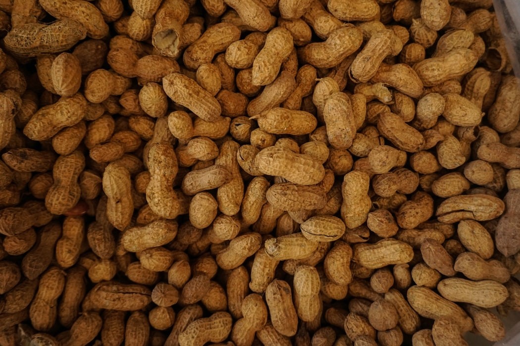 image of peanuts