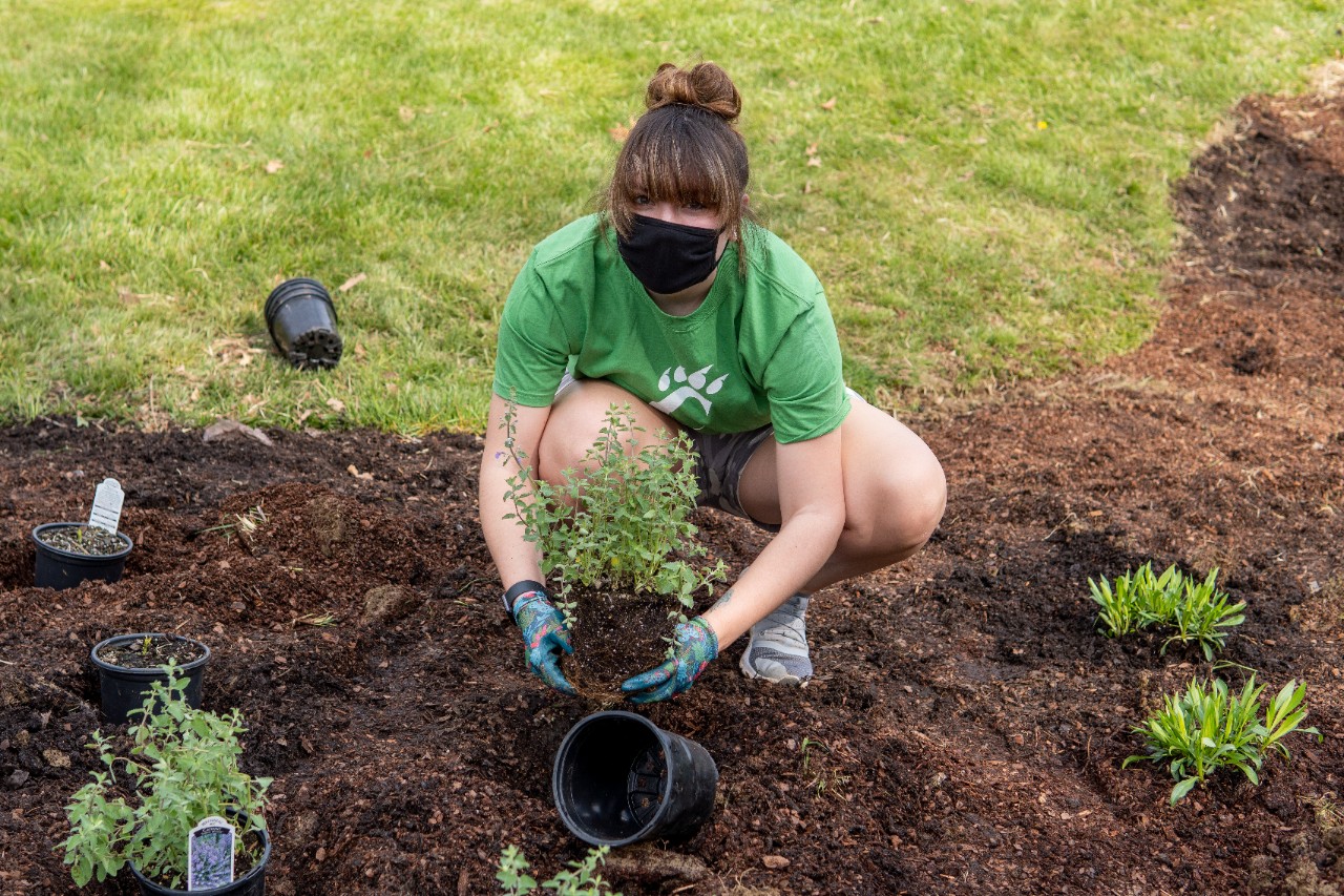 student planting flower