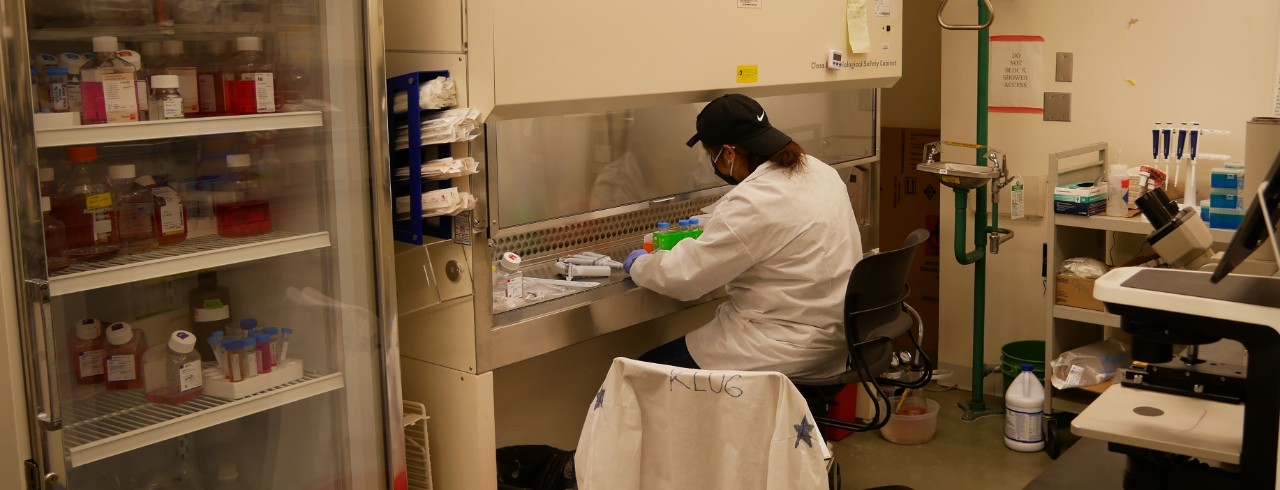 student works in a lab