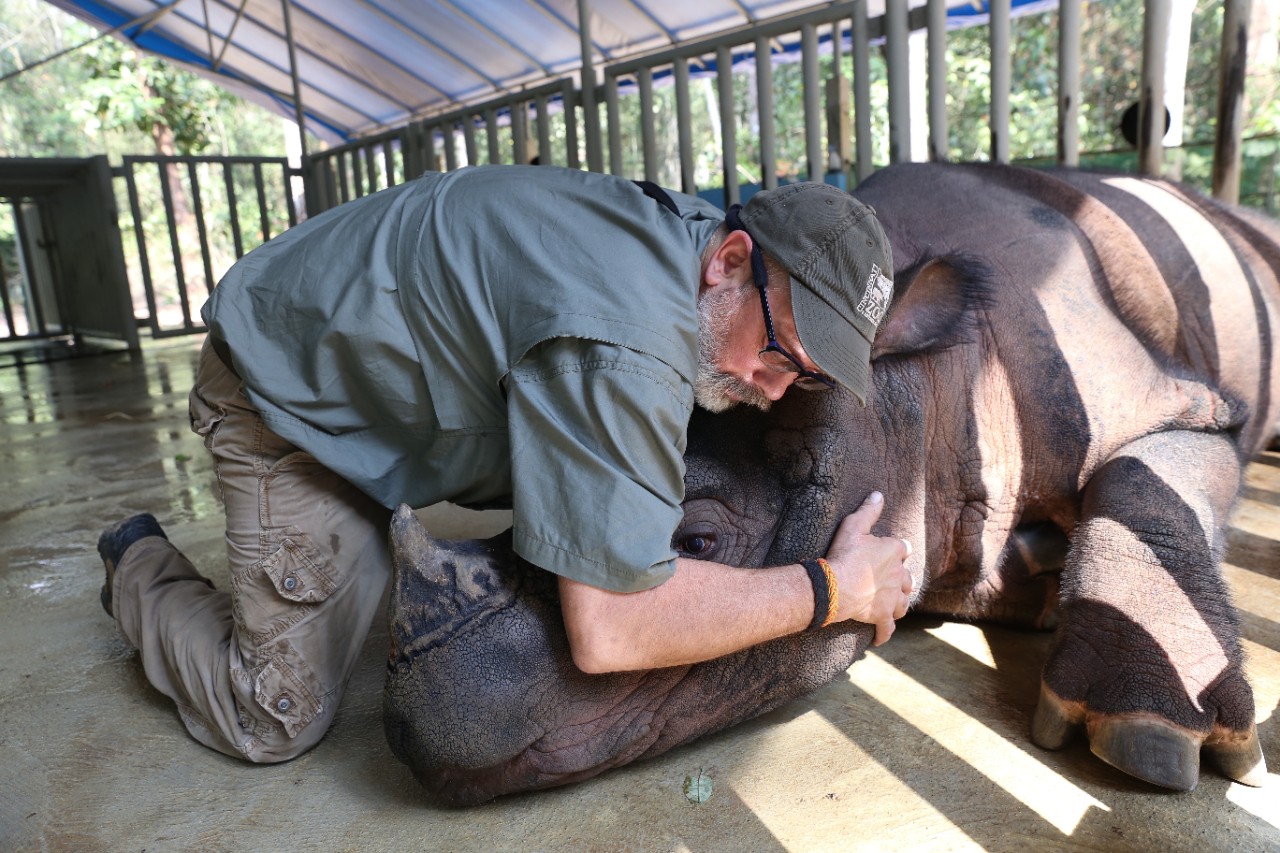 Handler gives a hug to Harapan, on his way to a rhino sanctuary in Sumatra, Indonesia.