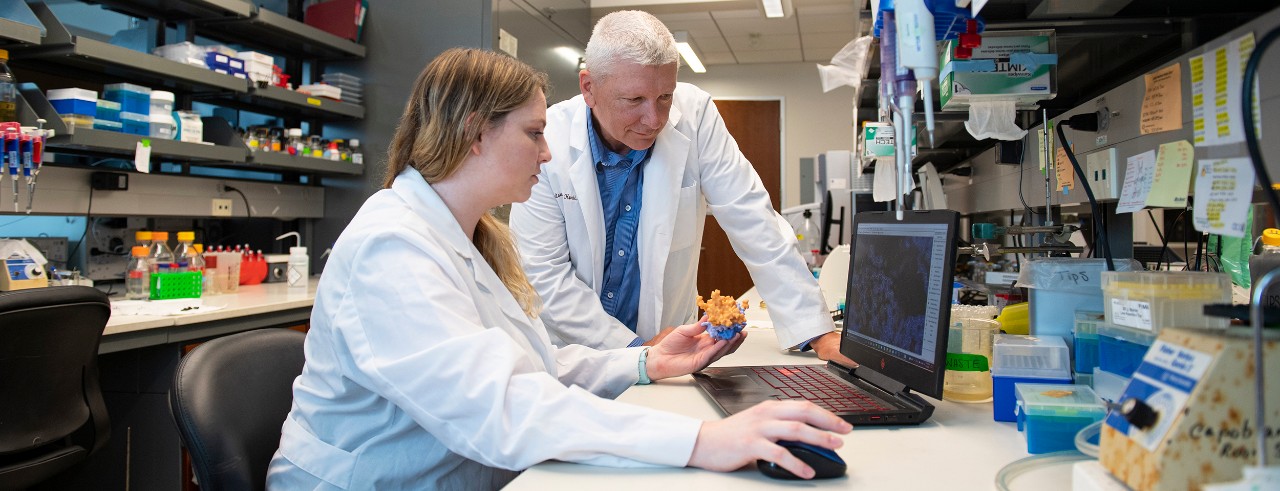 Kaitlin Hart, a doctoral student at UC, and Thomas Thompson, PhD, are shown in a College of Medicine laboratory.
