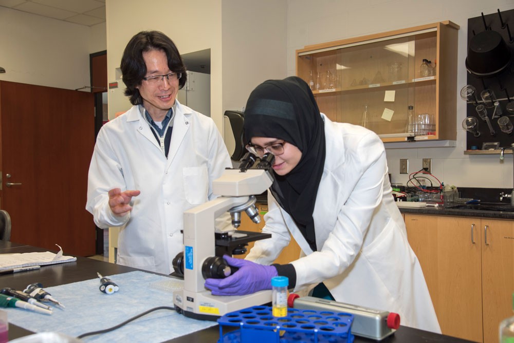 Professor Yoshi Odaka and student Aqsa Raja working in the lab