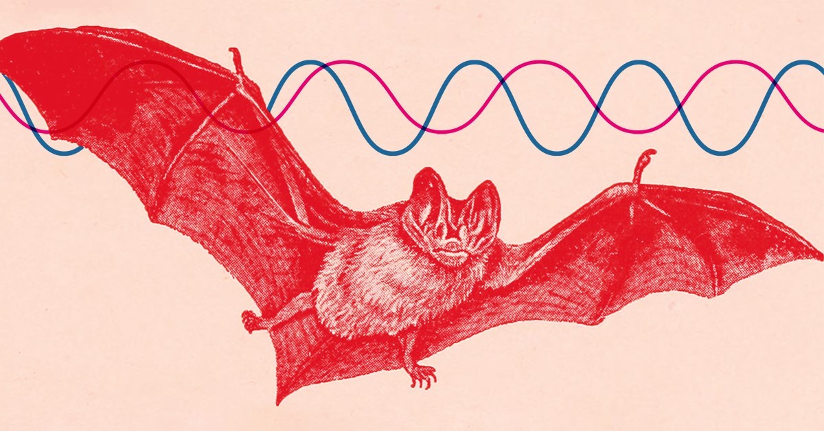 An illustration of a Mexican free-tailed bat with sound waves above it.