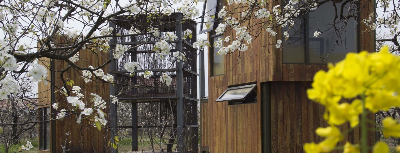 Three small wood-and-steel structures stand in a blossoming pear tree orchard.