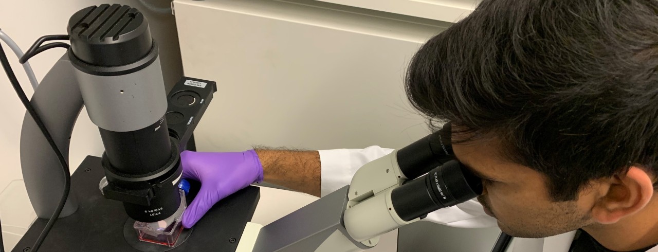 Student studies a sample using a microscope