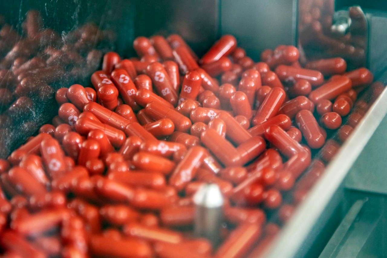 a photo of pills in a bin