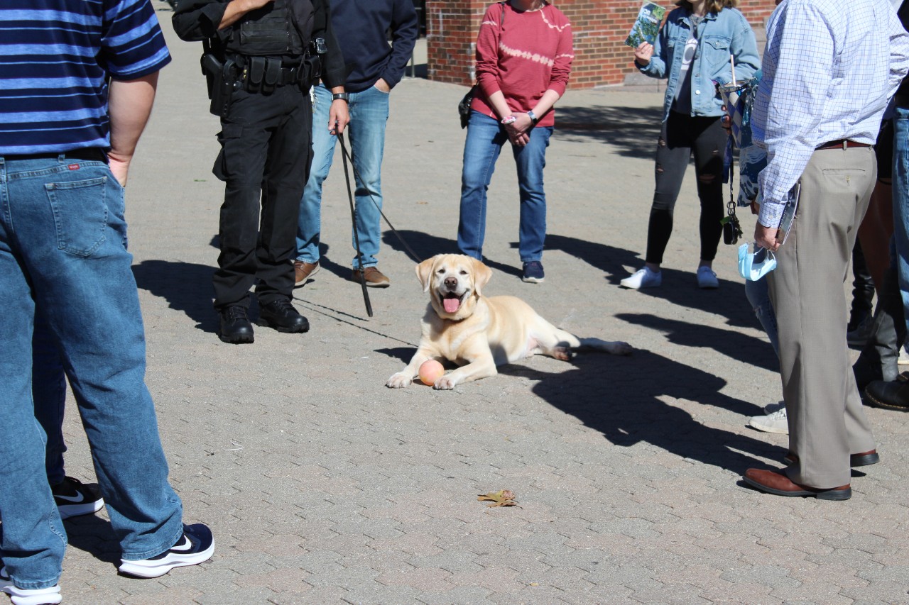 K-9 Dozer lays in the middle of a circle of people.