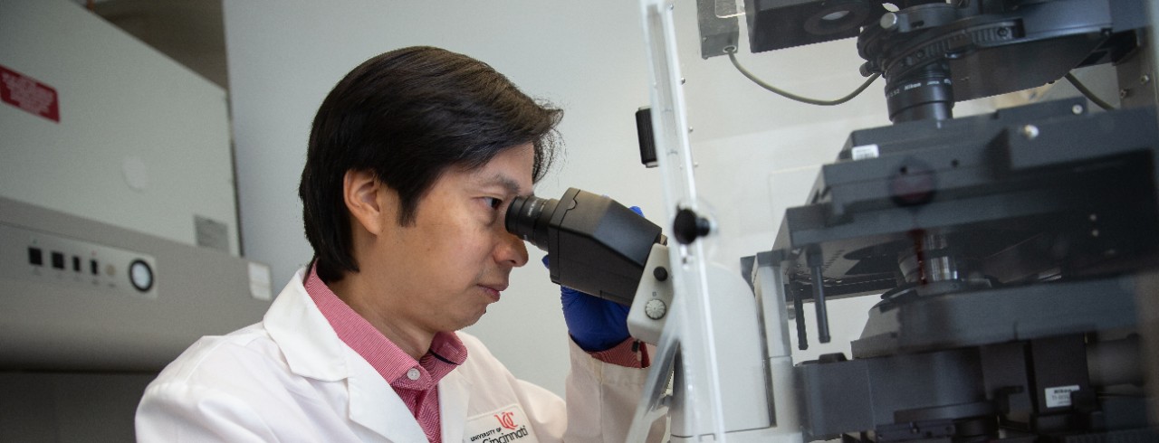 Dr. Zhang examines a specimen with a microscope in his lab