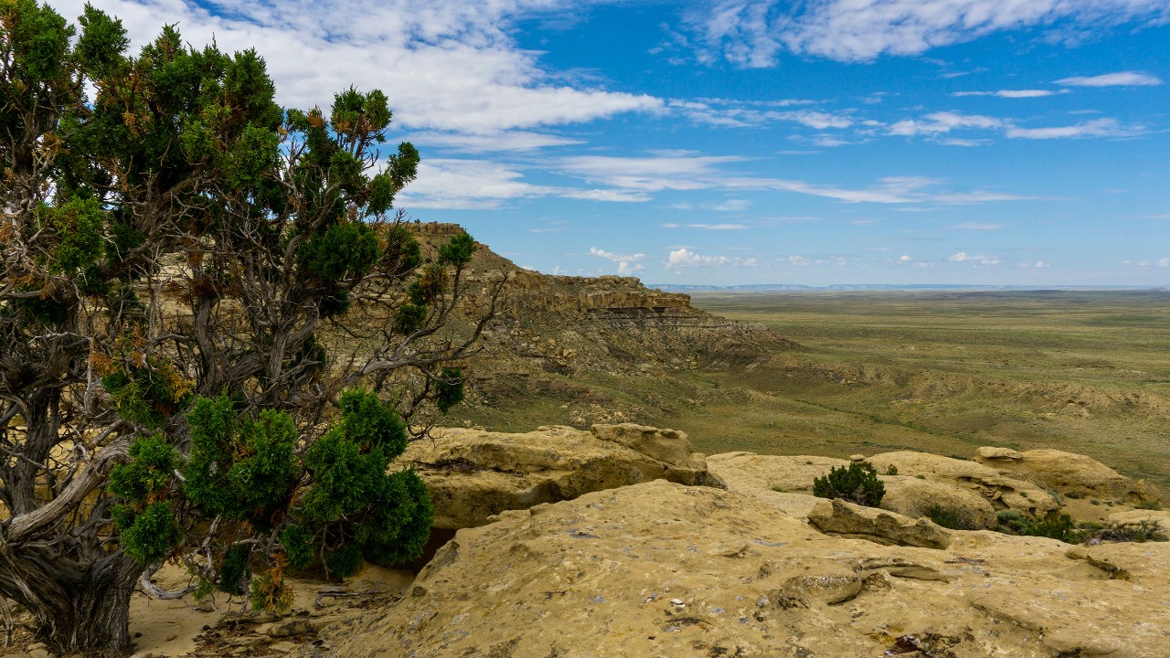 A lone juniper tree on left clinging to the rim of the desert in Chaco Canyon, New Mexico, under a blue sky and clouds.