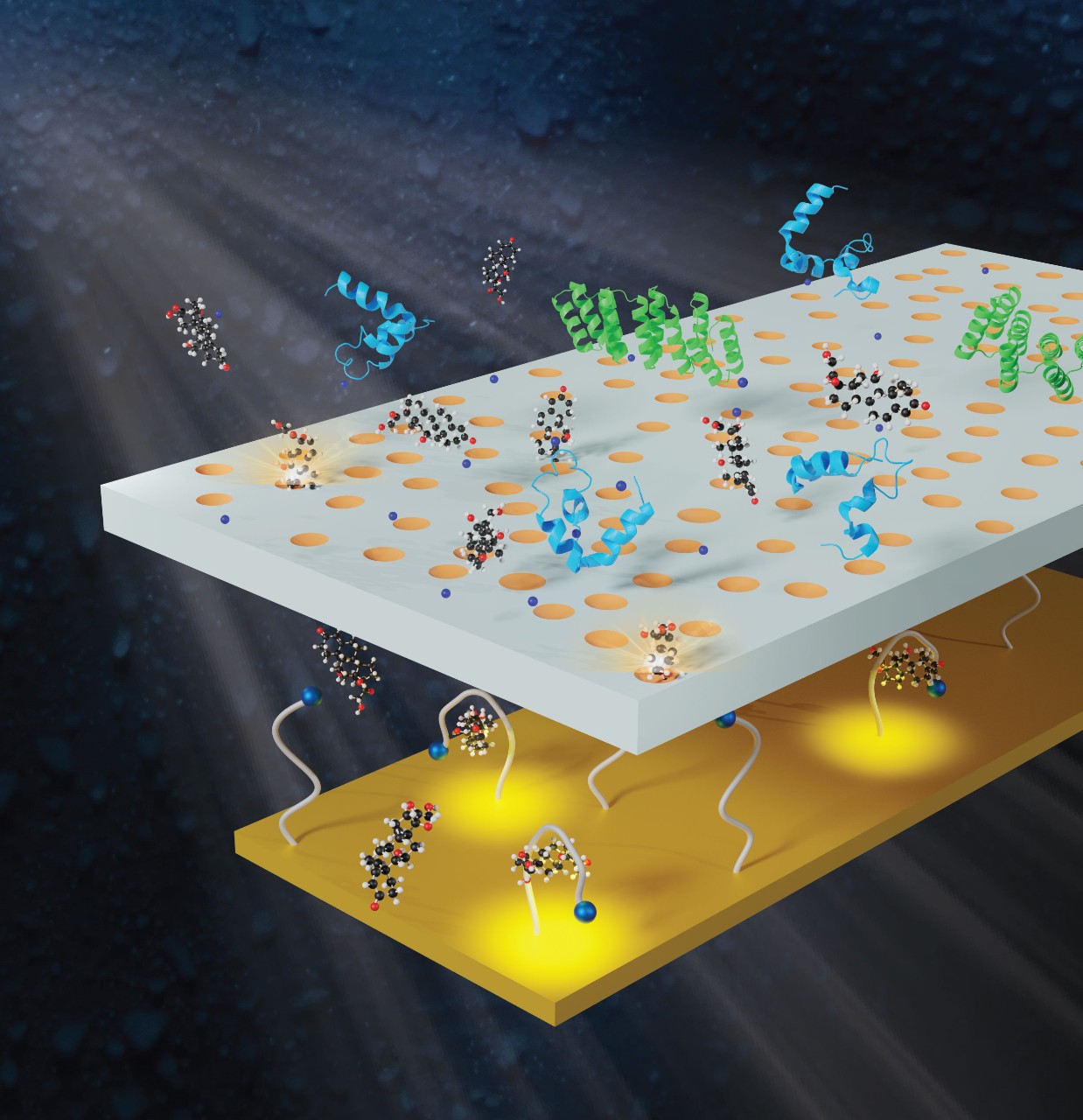 Graphic representation with a background picture of sweaty skin. The oil membrane model is based on the idea that the oil membrane technique is very helpful and important for the application of wearable and implanted biosensor. 