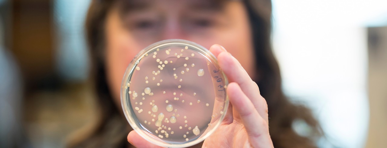 a scientist holds up a specimen dish in a lab