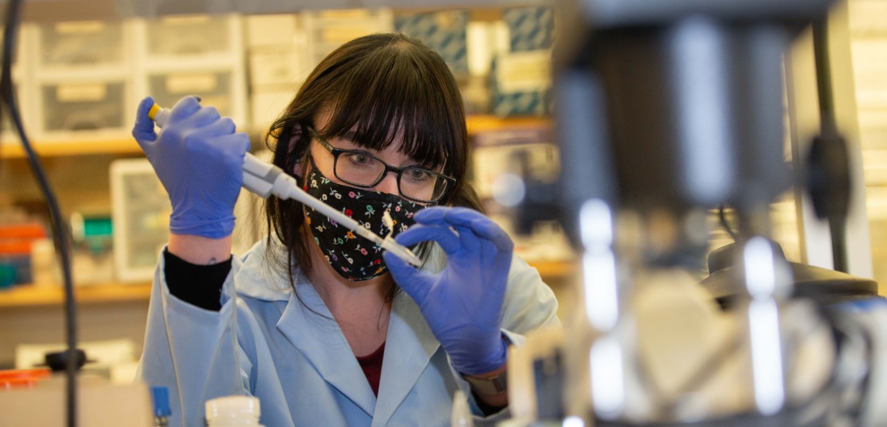 A UC student in facemask, gloves and a lab coat works in a biology lab.