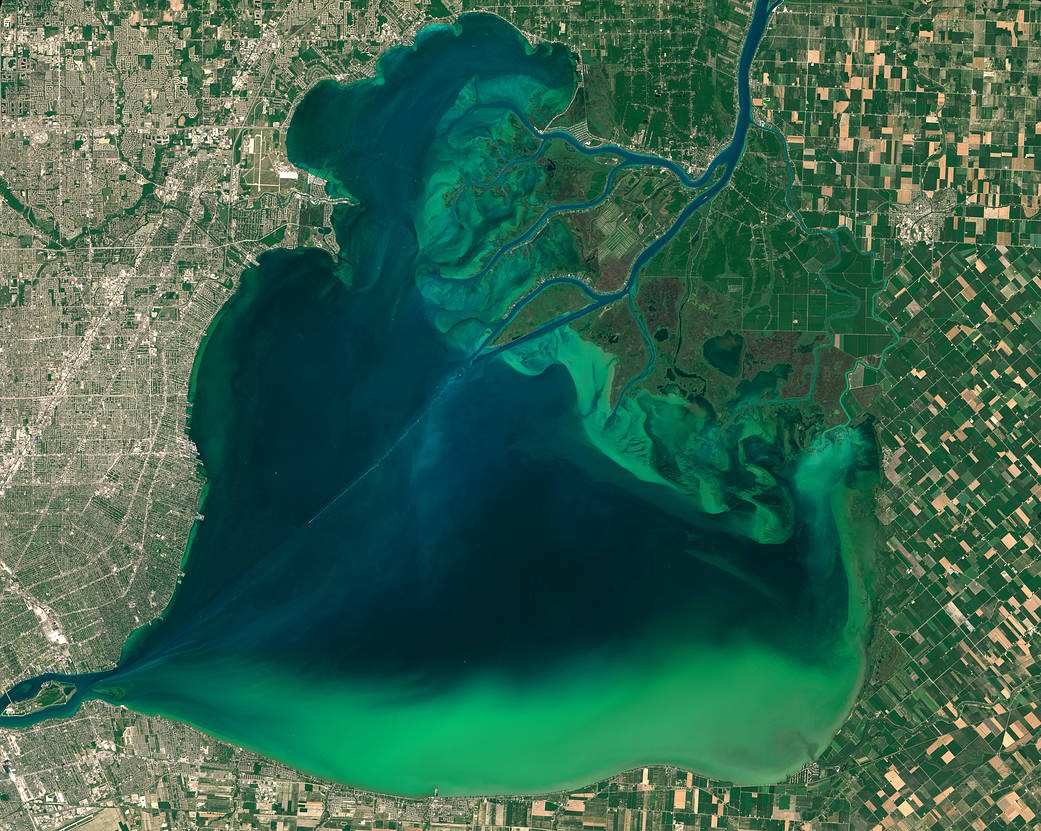 aerial view of algal bloom in a lake