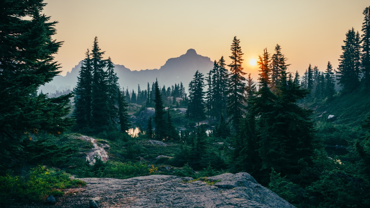 Forest with mountains and sunset.