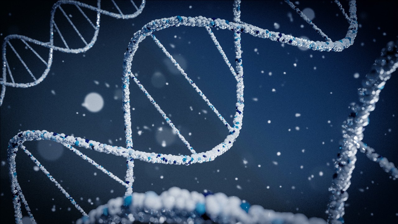 Illustration of strands of DNA material