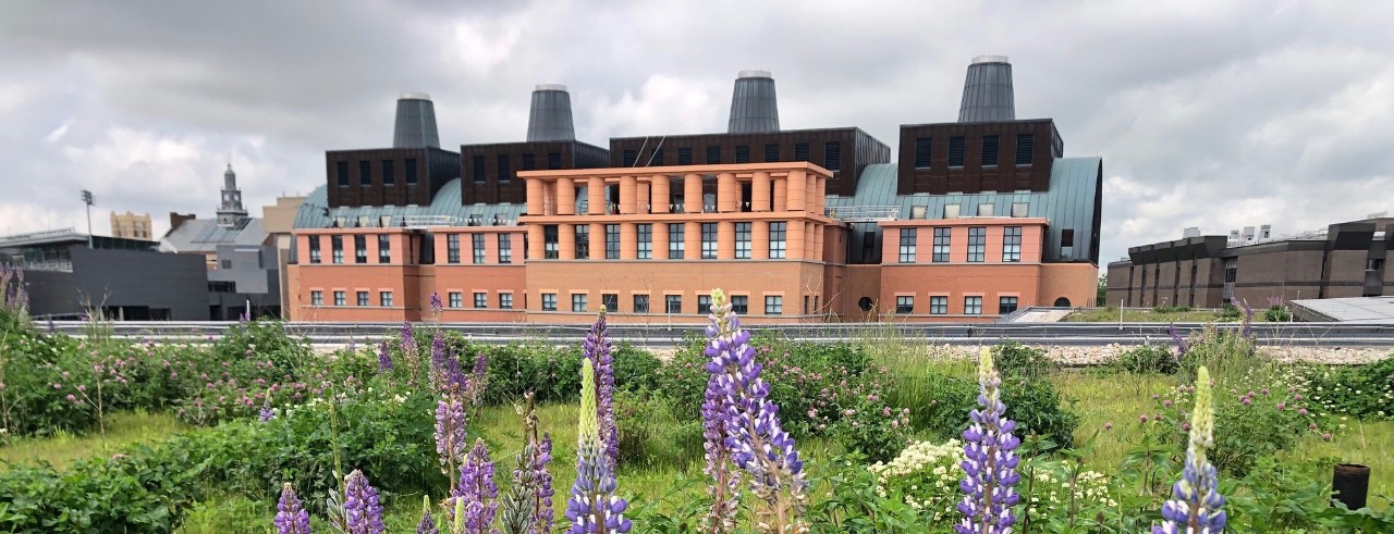 Mantei Center with spring flowers in foreground