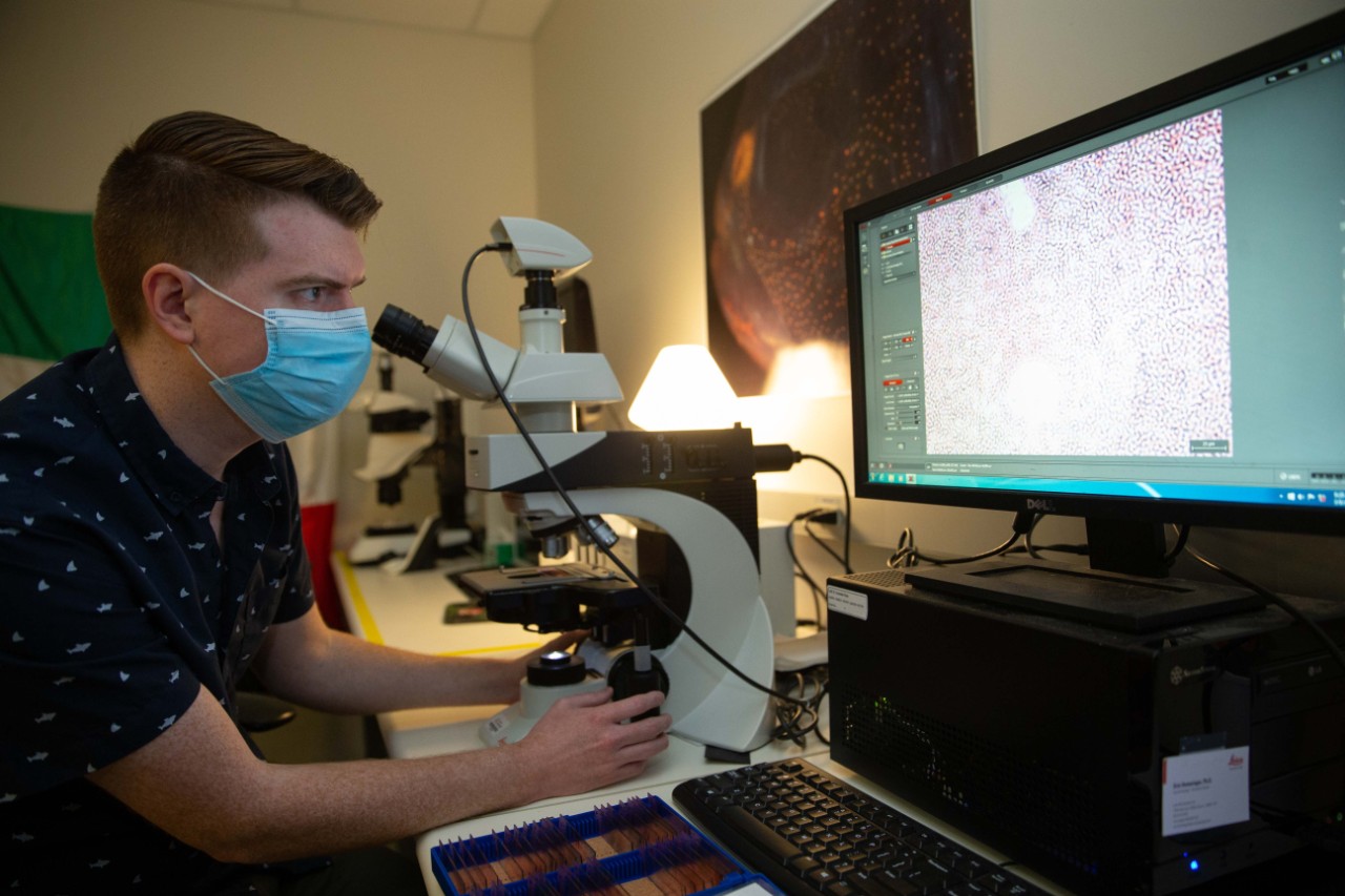 Tyler Boggs in a face mask examines red blood cells in a microscope image on a computer screen.