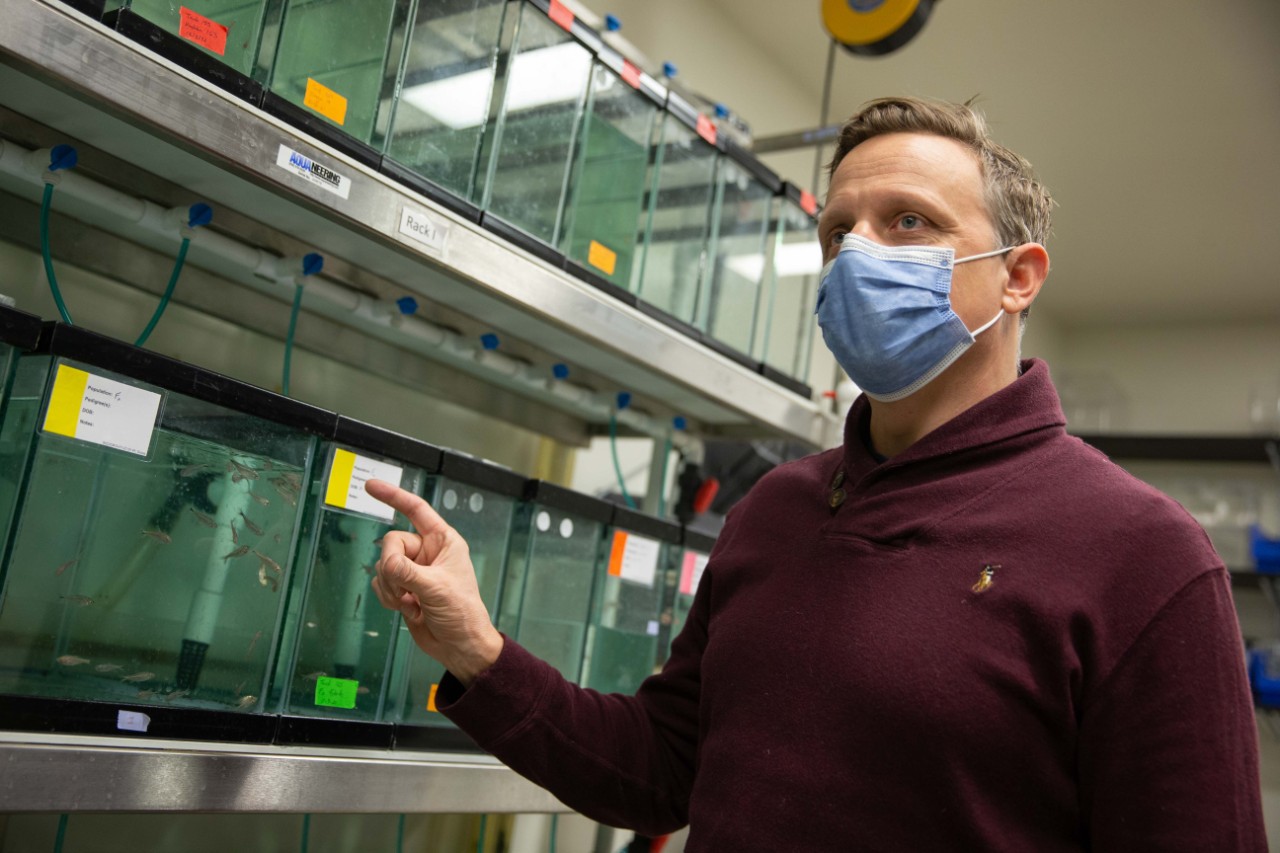 Joshua Gross stands next to a row of aquaria in his biology lab.