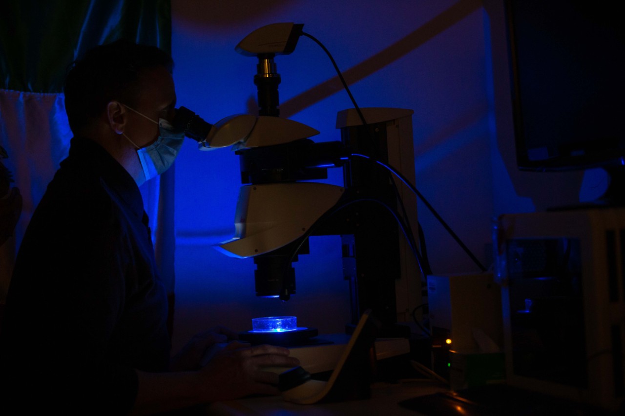 Joshua Gross peers through a microscope in a dark room.