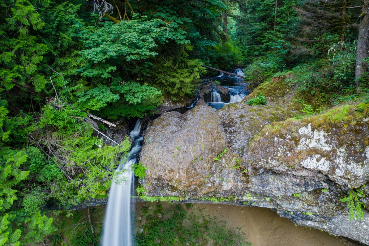 Stream and waterfall running through woods.