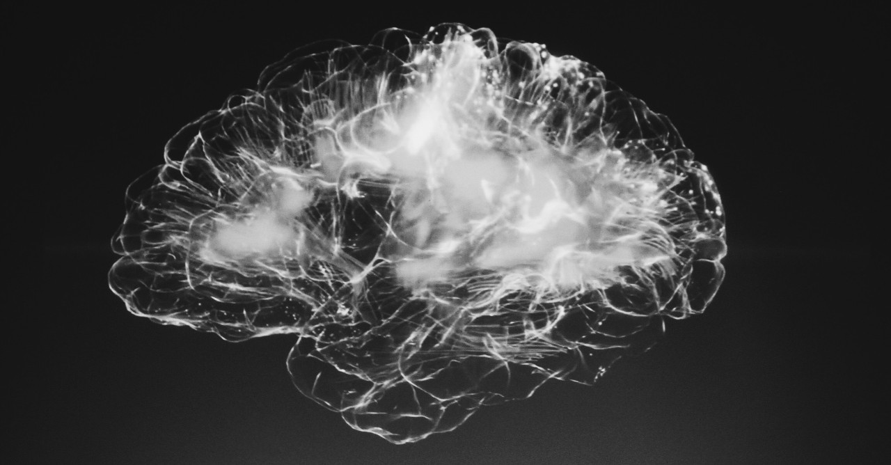 Black and white illustration of a human brain