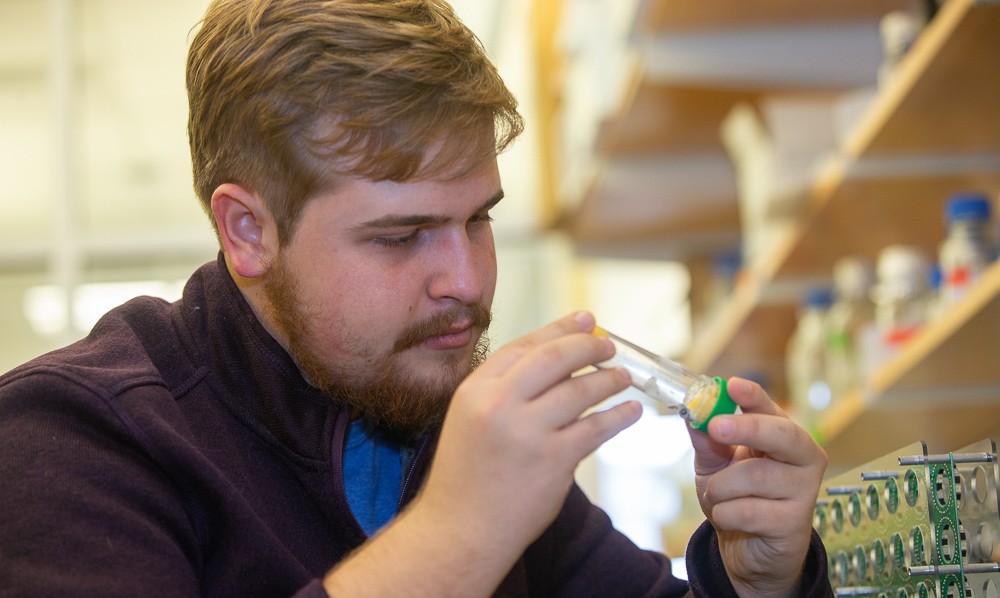 A UC biology student studies a mosquito in a vial in a biology lab.